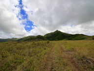 グアムロケ地・草原・庭・公園